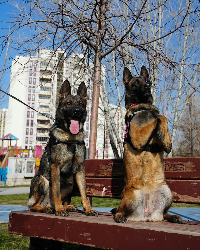 Afyon Emniyet Müdürlüğü Ekipleri Yoğun Mesainin Ardından Dinlendi