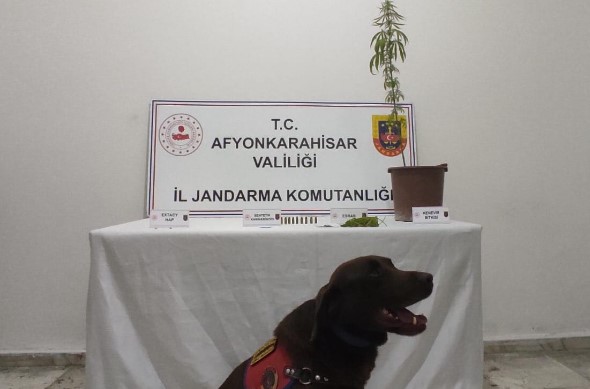 Jandarma narkotik tespit köpeği ile yapılan arama sonucunda bakın neler buldu.