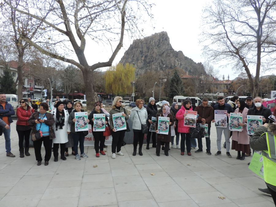 Sokak Hayvanları Sahipsiz Değildir.