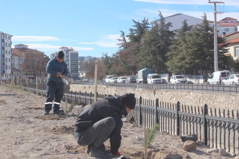 Emirdağ Belediyesi fidanları toprakla buluşturmaya devam ediyor