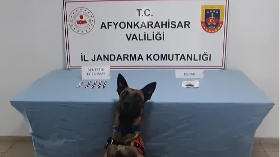 Jandarmadan, Kozluca Köyü'nde uyuşturucu operasyonu