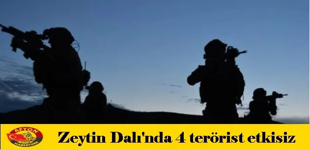 Zeytin Dalı'nda 4 terörist etkisiz