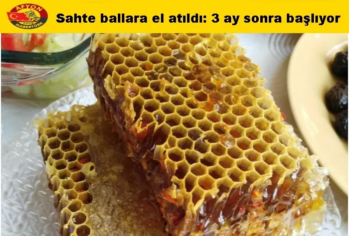 Sahte ballara el atıldı: 3 ay sonra başlıyor