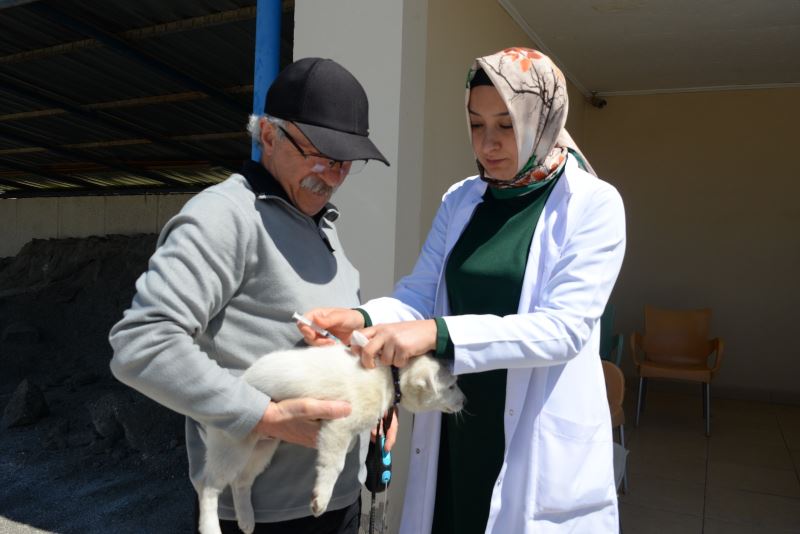 BOZÜYÜK’TE ÜCRETSİZ KUDUZ AŞISI KAMPANYASI