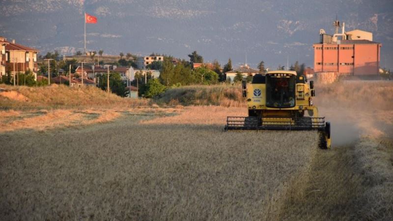 Ata Tohumlarının Hasadı Gerçekleştirildi