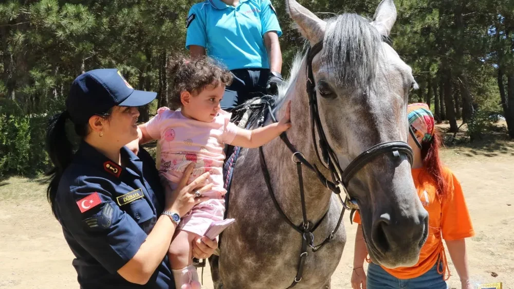 Atlı Jandarma Timleri, Devriyede