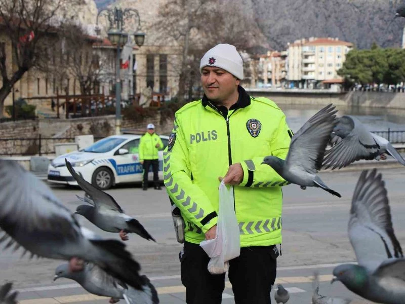 Amasya'da Trafik Polisi Ahmet Sancak, Güvercinleri Besleyerek Yürekleri Isıttı