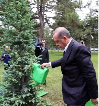 Türkiye Orman Varlığını Arttıran Nadir Ülkelerden Biridir