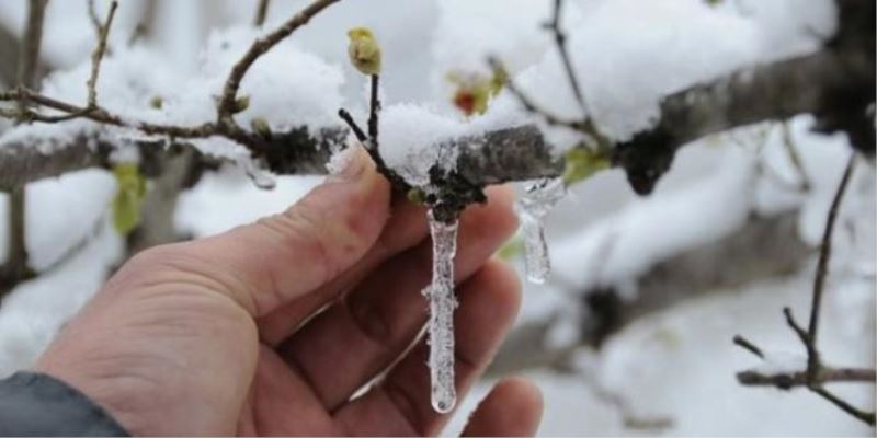 Zirai Meteorolojik Uyari