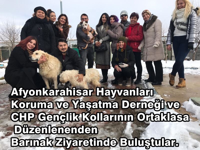 Afyonkarahisar Hayvanlari Koruma Ve Yasatma Dernegi Ve Chp Gençlik Kollarinin Ortaklasa Düzenledikleri Barinak Ziyaretinde Bulustular.