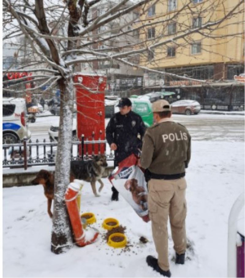 Afyonkarahisar polisinin Duyarli  Davranisi  sokak hayvanlarina ulasti.