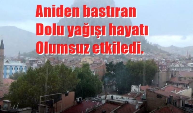 Aniden bastiran dolu yagisi hayati olumsuz etkiledi.