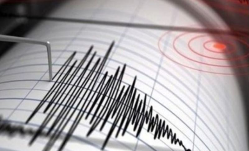 Bitlisde 4.6 Siddetinde Deprem Oldu