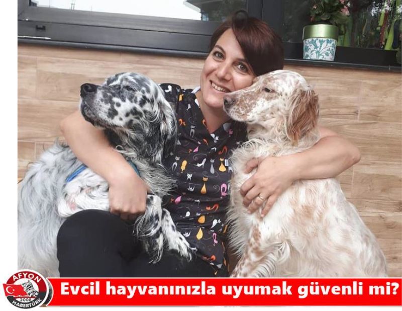 Evcil hayvaninizla uyumak güvenli mi?