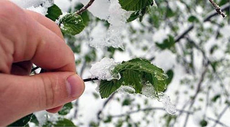 Metorojiden Zirai Meteorolojik Uyari Geldi.