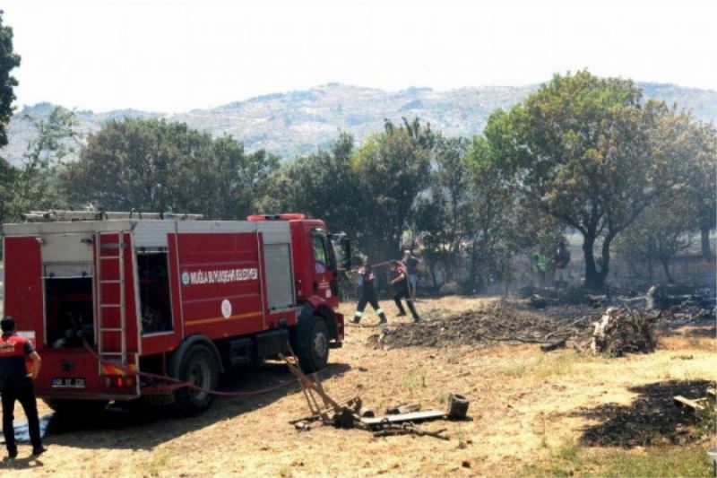 Mugla Büyüksehir ekiplerinden yangina topyekün müdahale